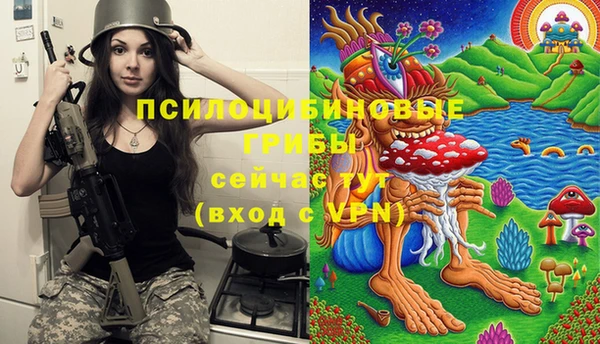 мдпв Абаза