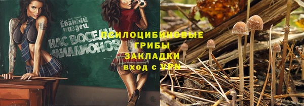 прущая мука Кулебаки