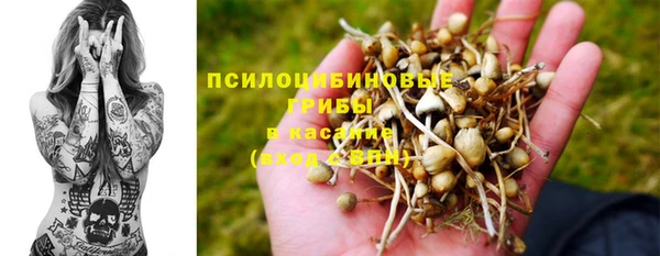 мдпв Абаза